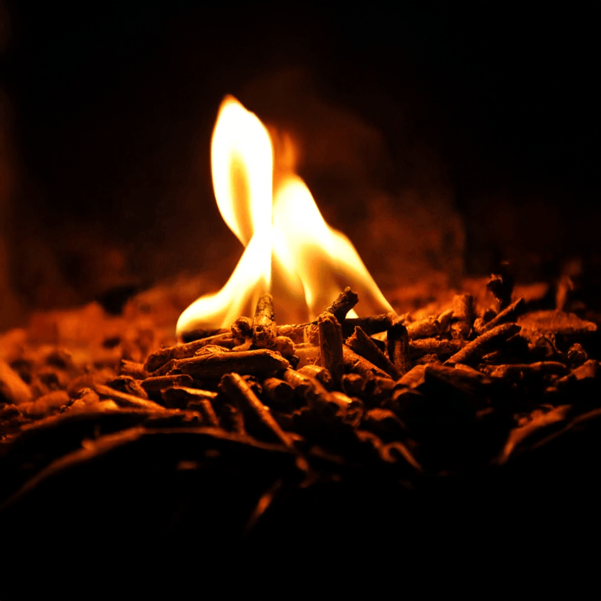 Palący się pellet drzewny